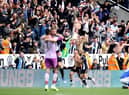 Bruno Guimaraes celebrates with Joelinton of Newcastle United after scoring their team's second goal during the Premier League match between Newcastle United and Leicester City at St. James Park on April 17, 2022 in Newcastle upon Tyne, England. (Photo by George Wood/Getty Images)