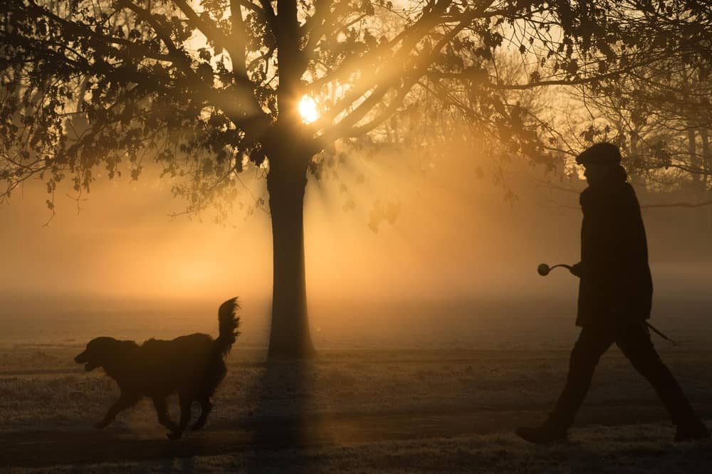 A man walks through fog as the sun rises.