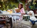 More than a third of surveyed Brits refuse to dine at a restaurant that doesn’t accept pets (photo: Adobe)