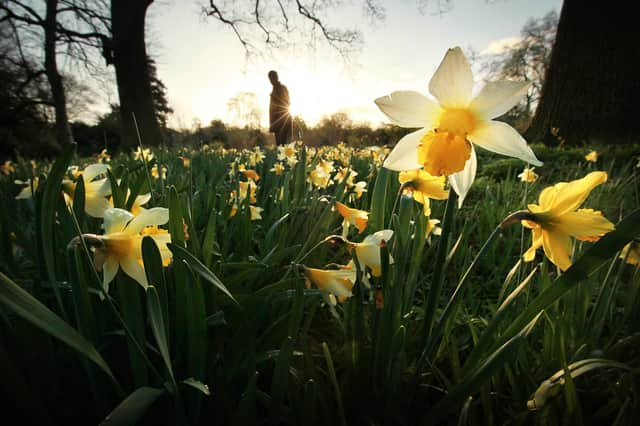 It is set to be a sunny weekend