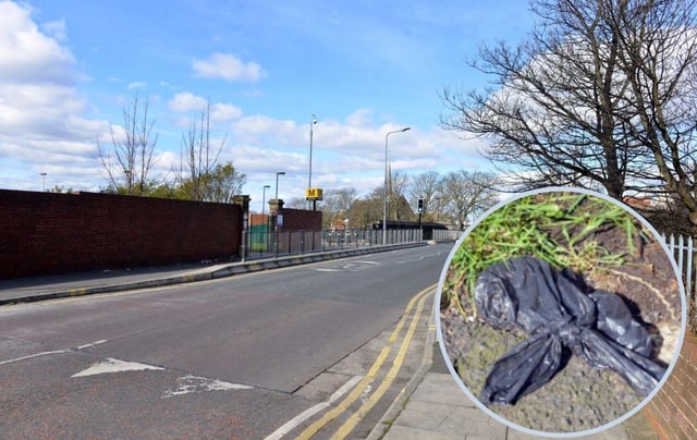 Dog fouling is blighting the streets of Simonside.