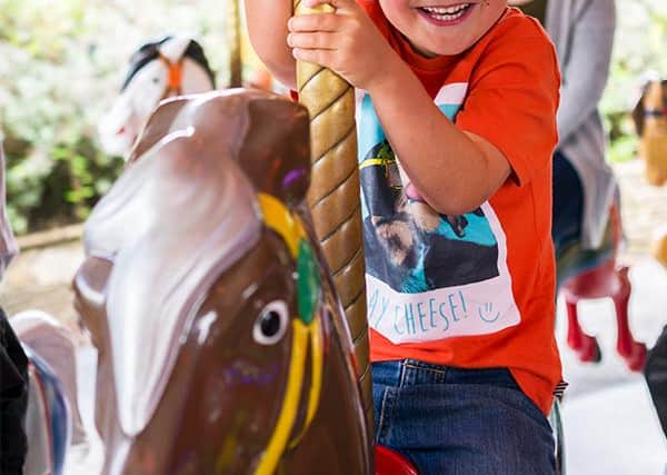 Family Fun Carousel ride at Lightwater Valley