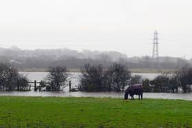 South Tyneside will be hit by heavy rain on Thursday.