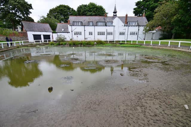 Whitburn Village pond has been filled in by large amounts of deposited mud and silt which is making it difficult for wildlife.

Picture by FRANK REID