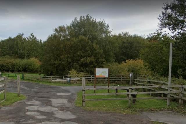 Monkton Community Woodland is one of four South Tyneside sites to benefit from the grant. Picture from Google.