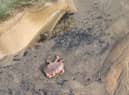 Some of the dead crabs on Seaton Carew beach.

Photo: Carl Clyne