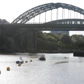 Wildlife at the River Wear estuary is to benefit from an £800,000 grant. Picture bu Stu Norton.