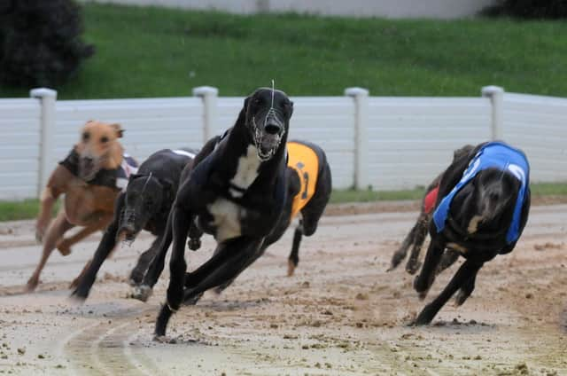 Greyhound Stadium charity night.