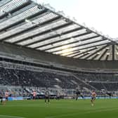 St James' Park . (Photo by Stu Forster/Getty Images)