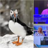 Donald Fear celebrated his Who Wants To Be A Millionaire? victory with a trip to the North East.