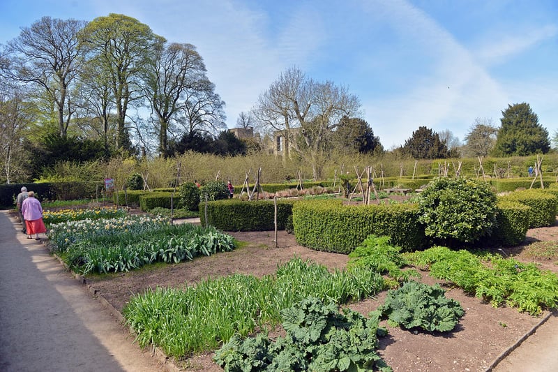 The herb garden.