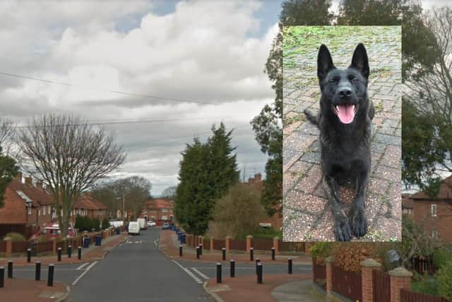 Police dog Raven caught a burglar after sniffing him out when he broke into a house in Freemantle Road in South Shields. Street photo copyright of Google Maps.