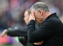 Sunderland manager Tony Mowbray.