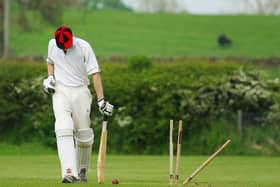 Cricket... lovely cricket. Now where's that luke-warm yoghurt?