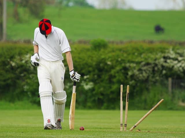 Cricket... lovely cricket. Now where's that luke-warm yoghurt?