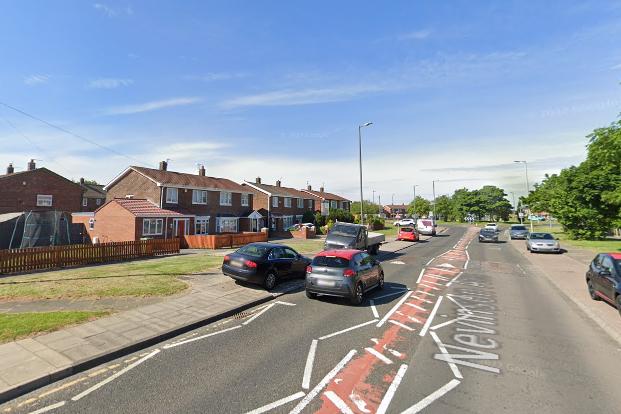 Kelly's K9 Kutz on Nevinson Avenue in South Shields has a five star rating from 16 reviews.
