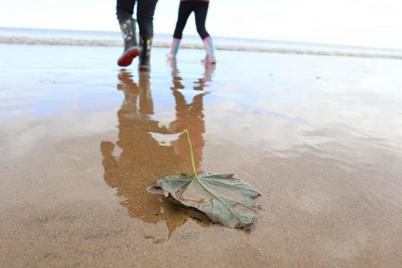 Rain or shine, you can't beat a trip to the beach. Time to go plodging!