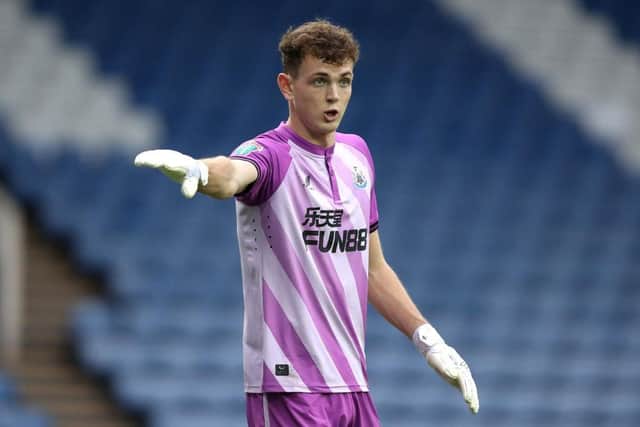 Daniel Langley of Newcastle United gives instructions during the Papa John's EFL Trophy Group match between Sheffield Wednesday and Newcastle United U21's at Hillsborough on August 31, 2021 in Sheffield, England. (Photo by George Wood/Getty Images)
