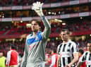 Tim Krul and Steven Taylor take to the field the last time Newcastle United played Benfica at the Estadio da Luz.