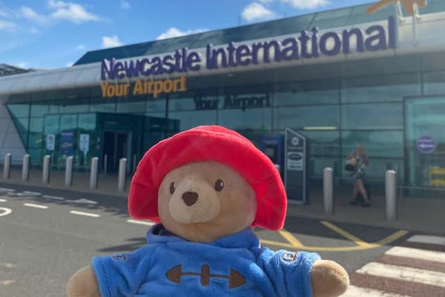 Paddington Bear at the airport