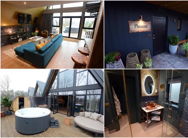 Inside The Pheasant, one of four new treehouses at Ramside Hall