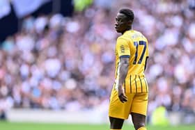 Yankuba Minteh enjoyed a solid debut season in the Premier League with Brighton. 