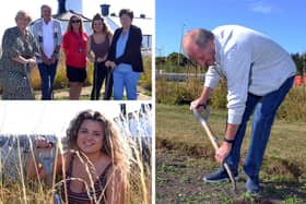 The allotment project which is under way at Souter Lighthouse.