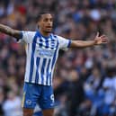 Joao Pedro of Brighton & Hove Albion is reportedly wanted by Newcastle and Chelsea.