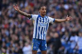 Joao Pedro of Brighton & Hove Albion is reportedly wanted by Newcastle and Chelsea.