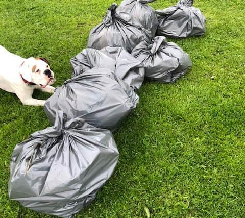 Dog walkers have collected dozens of bags of rubbish from the area.