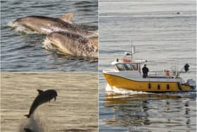 Pictures taken in Sunderland and South Shields on Saturday, June 20.
