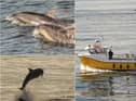 Pictures taken in Sunderland and South Shields on Saturday, June 20.