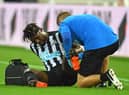 Allan Saint-Maximin.