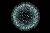 There were 288 deaths in the North East in the week up to Friday, April 10, that related to coronavirus.