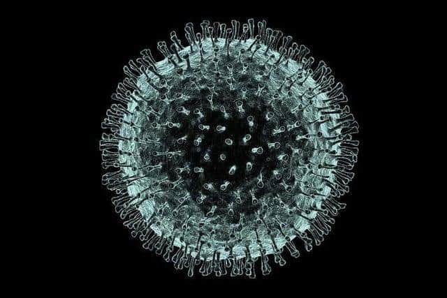 There were 288 deaths in the North East in the week up to Friday, April 10, that related to coronavirus.