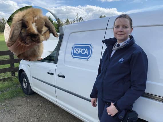 Heather Wade has been an RSPCA officer for three years.