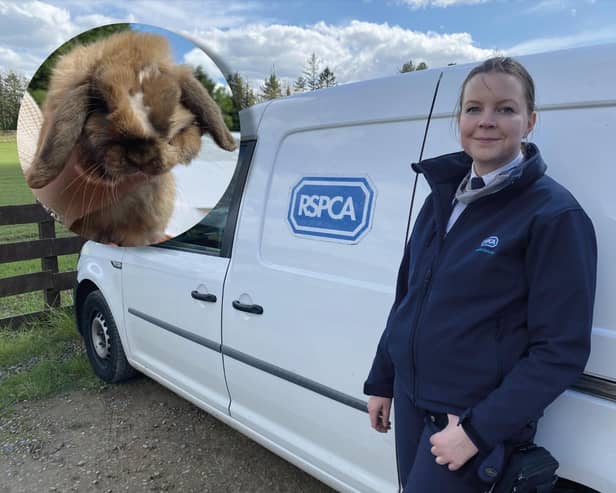 Heather Wade has been an RSPCA officer for three years.