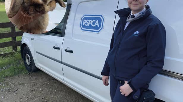 Heather Wade has been an RSPCA officer for three years.