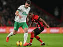 Bournemouth's Ivory Coast midfielder Hamed Traore (R) vies with Newcastle United's Swiss defender Fabian Schar during the English Premier League football match between Bournemouth and Newcastle United at the Vitality Stadium in Bournemouth, southern England on February 11, 2023. (Photo by GLYN KIRK/AFP via Getty Images)