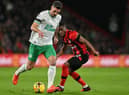 Bournemouth's Ivory Coast midfielder Hamed Traore (R) vies with Newcastle United's Swiss defender Fabian Schar during the English Premier League football match between Bournemouth and Newcastle United at the Vitality Stadium in Bournemouth, southern England on February 11, 2023. (Photo by GLYN KIRK/AFP via Getty Images)
