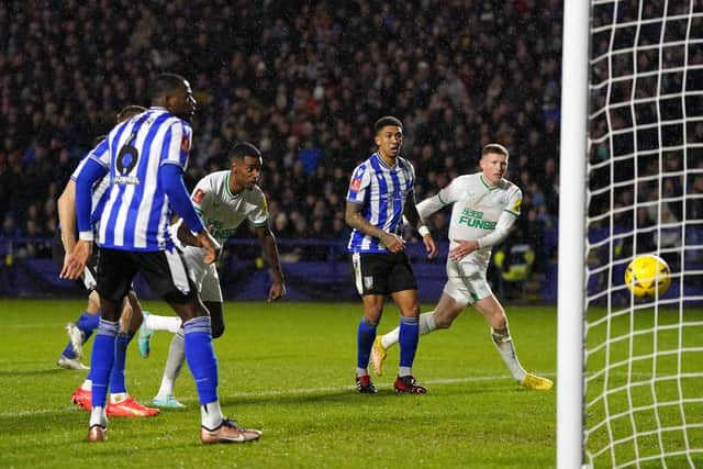 Newcastle United's Alexander Isak heads towards goal at Hillsborough.