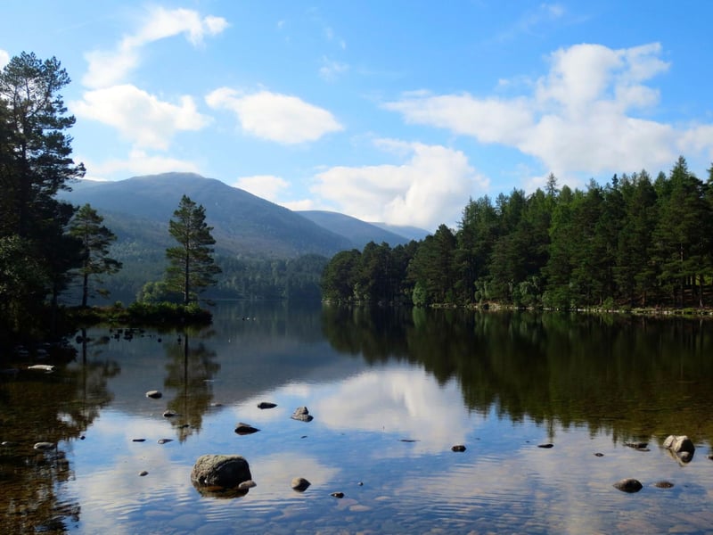 Highland Shepherd Huts can be found north of Aviemore, in the Cairngorms National Park. "They're beautiful huts and there's three places for campervans," says Alex, "All you can see is the mountains. That's a spot not many people know about."