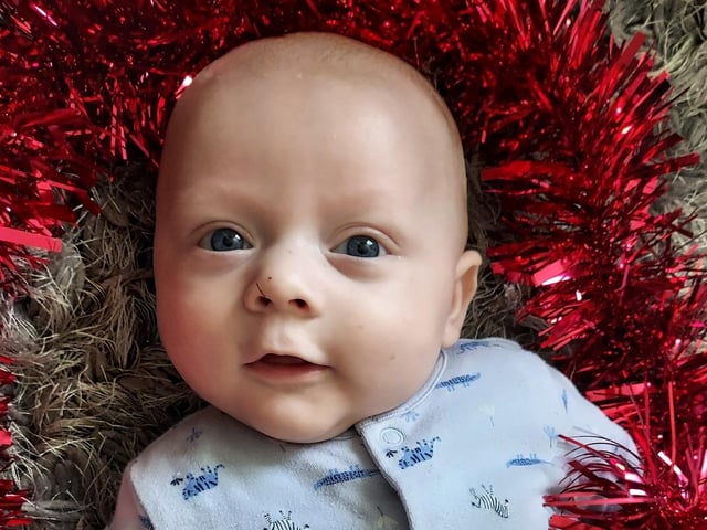Thirteen-week-old Cody. Picture: Chloe Ann Bowell