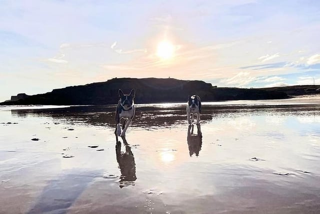 These guys making the most of an empty beach - and taking a run at the photographer too!