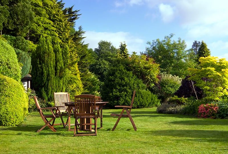 Plants can be pretty expensive, especially older ones, so the prospect of planting up a garden from scratch, and needing to wait 10-20 years for plants to reach full height, makes a mature garden very attractive for homebuyers.