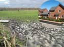 Housing plans have been approved for land near Lukes Lane, in Hebburn