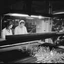 Women at work in the packing department of the Wear Flint Glass Works, Sunderland 1961. © Historic England Archive.