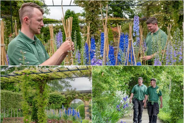 The Alnwick Garden