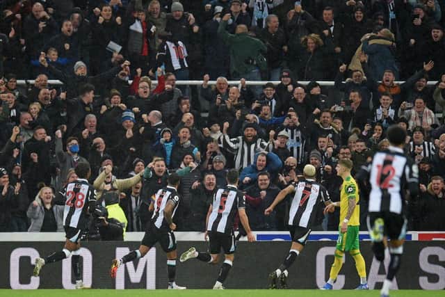 Newcastle United's English striker Callum Wilson (2L) celebrates scoring the opening goal from the penalty spot during the English Premier League football match between Newcastle United and Norwich City at St James' Park in Newcastle-upon-Tyne, north east England on November 30, 2021 (Photo by OLI SCARFF/AFP via Getty Images)