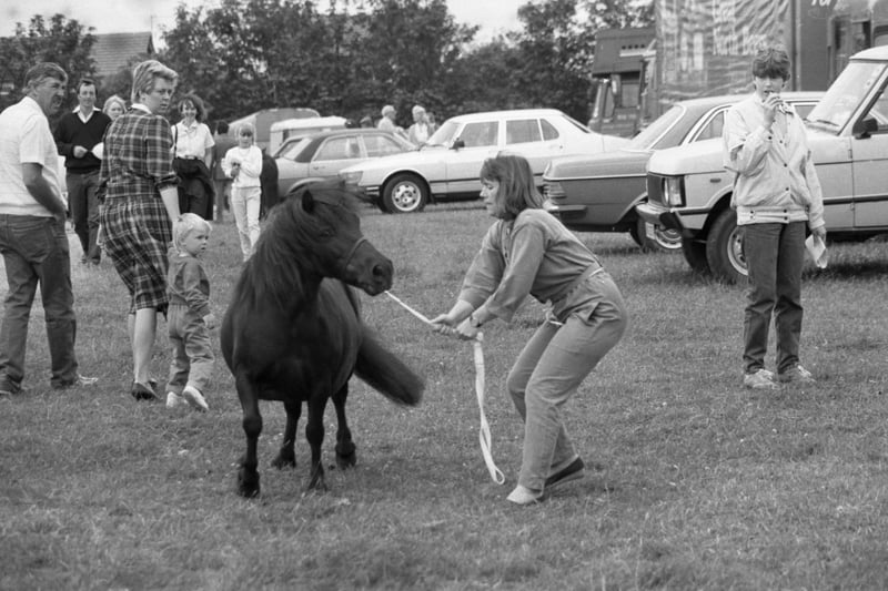 Durham County Agricultural Show was held at Lambton Park in July 1986.